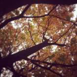 org:/landingpages/winnaars DK NO SE/8e-prize-scandinavie.jpg